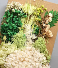Load image into Gallery viewer, dry flowers-dried flower bouquet uk-dried flowers wholesale uk-essential oils diffuser-dried flowers-essential oils-dried letterbox flowers
