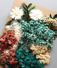 Load image into Gallery viewer, dry flowers-dried flower bouquet uk-dried flowers wholesale uk-essential oils diffuser-dried flowers-essential oils-dried letterbox flowers