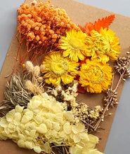 Load image into Gallery viewer, dry flowers-dried flower bouquet uk-dried flowers wholesale uk-essential oils diffuser-dried flowers-essential oils-dried letterbox flowers