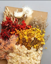 Load image into Gallery viewer, dry flowers-dried flower bouquet uk-dried flowers wholesale uk-essential oils diffuser-dried flowers-essential oils-dried letterbox flowers