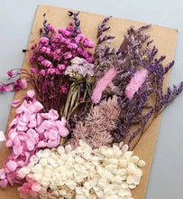 Load image into Gallery viewer, dry flowers-dried flower bouquet uk-dried flowers wholesale uk-essential oils diffuser-dried flowers-essential oils-dried letterbox flowers