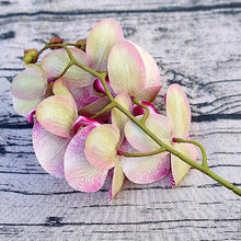 Load image into Gallery viewer, Decorative artificial butterfly orchid arrangement for stylish interiors