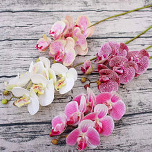 Load image into Gallery viewer, artificial orchid plant-orchid flowers-orchid flower-phalaenopsis orchid