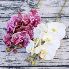 Load image into Gallery viewer, Realistic artificial orchid plant with six butterfly-shaped flowers