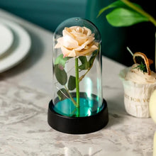 Load image into Gallery viewer, LED glowing roses gift for anniversary or romantic occasions