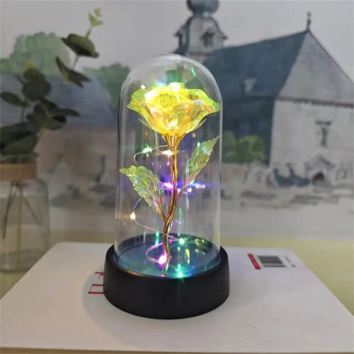 Galaxy-inspired LED roses in transparent box