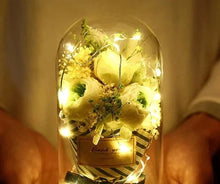 Load image into Gallery viewer, Waterproof LED string lights for outdoor decoration