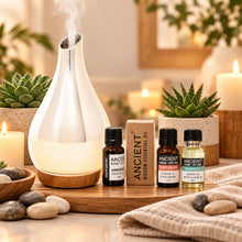 Load image into Gallery viewer, Aromatherapy diffuser and essential oils home set