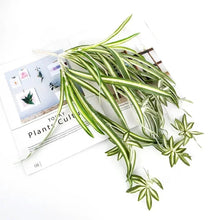 Load image into Gallery viewer, fake fairy taro plant for living room decoration