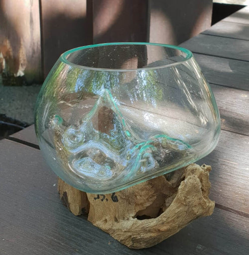 Handmade molten glass terrarium on teak root base
