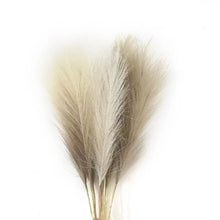 Load image into Gallery viewer, artificial pampas stems for wedding decor