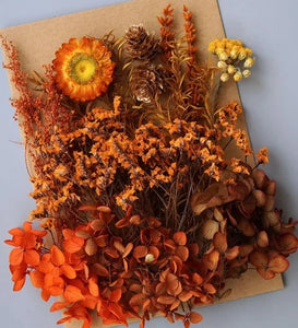 dry flowers-dried flower bouquet uk-dried flowers wholesale uk-essential oils diffuser-dried flowers-essential oils-dried letterbox flowers