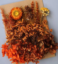 Load image into Gallery viewer, Nature-inspired dried flower pack for bookmarks and crafts