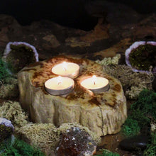 Load image into Gallery viewer,  handcrafted tea light candle holder made from fossilized petrified wood, showcasing natural textures and earthy tones, perfect for home decor