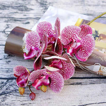 Load image into Gallery viewer, artificial orchid plant-orchid flowers-orchid flower-phalaenopsis orchid