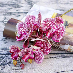 artificial orchid plant-orchid flowers-orchid flower-phalaenopsis orchid