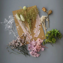 Load image into Gallery viewer, 1 Pack Random Real Dried Flowers ¦ Mix Dried Flowers For Craft  Resin DIY