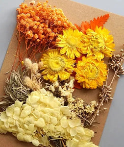 dry flowers-dried flower bouquet uk-dried flowers wholesale uk-essential oils diffuser-dried flowers-essential oils-dried letterbox flowers