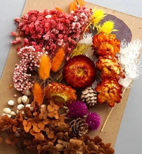 Load image into Gallery viewer, dry flowers-dried flower bouquet uk-dried flowers wholesale uk-essential oils diffuser-dried flowers-essential oils-dried letterbox flowers