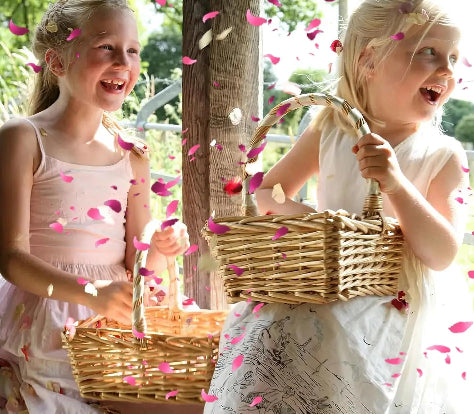 biodegradable rose petal confetti natural dried flower wedding decor