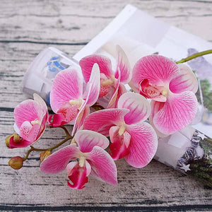 artificial orchid plant-orchid flowers-orchid flower-phalaenopsis orchid