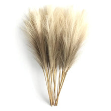 Load image into Gallery viewer, Bouquet of dried pampas grass 