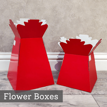 Load image into Gallery viewer, 30 Living Vase Box Transporter ¦ Aqua Box Flower Bouquet