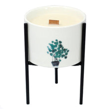Load image into Gallery viewer, soy wax candles uk botanical soy candles in elegant gift packaging