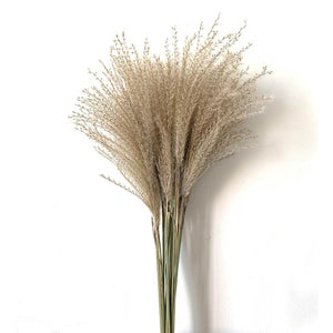  Elegant real pampas grass bouquet for events