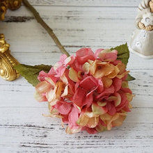 Load image into Gallery viewer, Hydrangeas Arrangement Ideas 
