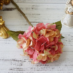 Hydrangeas Arrangement Ideas 