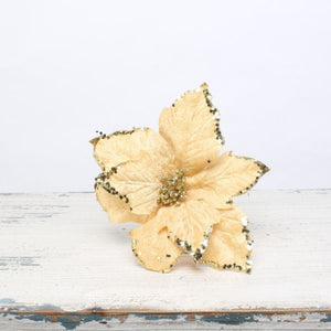 Christmas holiday poinsettia hanging tree flower