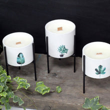 Load image into Gallery viewer,  Relaxing soy wax candle collection with floral aroma