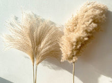 Load image into Gallery viewer, Boho style real pampas grass for living room décor
