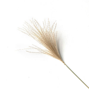 Real Pampas Grass Natural Dried Flowers Plant Real Grass Stem
