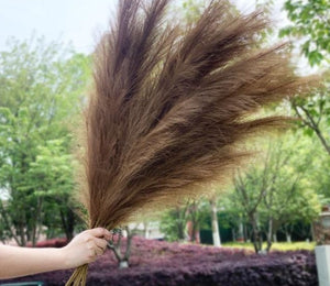 Artificial Pampas Grass Dried Reed Fake Plant Rabbit Tail Grass Flower Branch