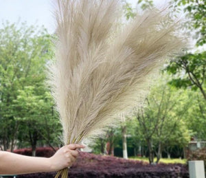 Artificial Pampas Grass Dried Reed Fake Plant Rabbit Tail Grass Flower Branch 