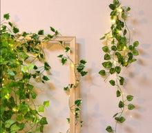Load image into Gallery viewer,  ivy curtain lights-ivy fairy lights battery operated-kikkerland ivy string lights-fake vines with fairy lights-led wall vine lights-curtain fairy lights